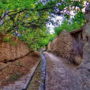 قصردشت شیراز را تا چه میزان می شناسید؟