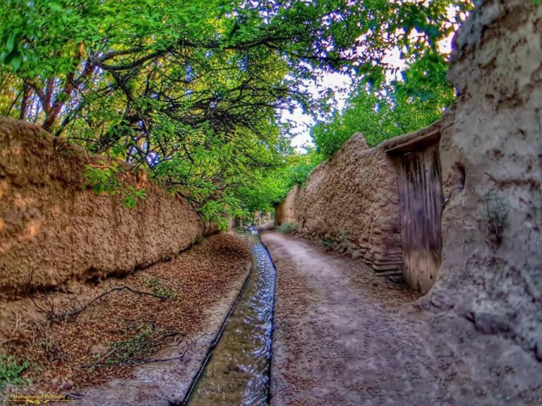 قصردشت شیراز را تا چه میزان می شناسید؟