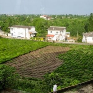 تغییر کاربری اراضی روستایی به مسکونی
