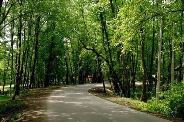 جعل سند آقازاده ها برای ساخت ویلا های لاکچری