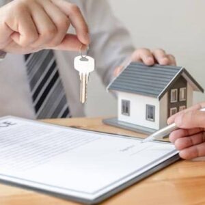 واکنش مسکن به قیمت دلار