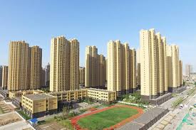 تورم مسکن در باتلاق چین