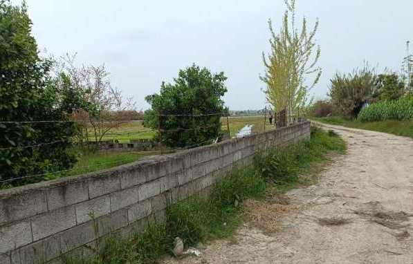 واگذاری زمین