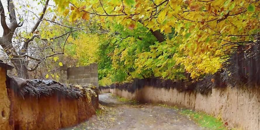 شرط قشنگ تغییر کاربری یک باغ در شیراز