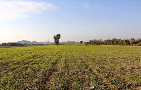 آماده سازی اراضی  نهضت ملی داراب