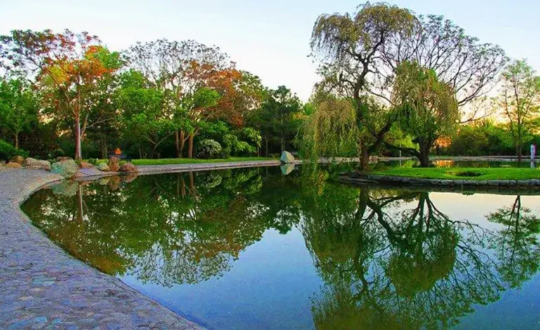 تولد پهنه طبیعت در مقابل نابودی گیاه شناسی