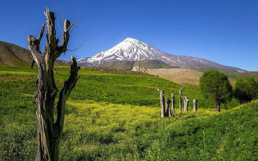 رفع تعرض ۱۷۸ هکتار زمین های دولتی