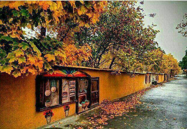 پای باغ خواران بر گلوی باغات قصردشت شیراز