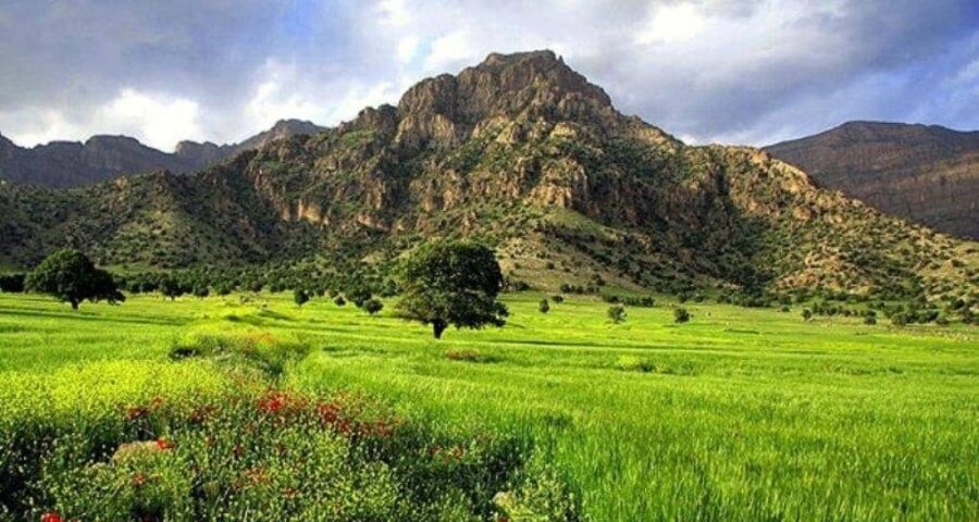 اراضی ملی