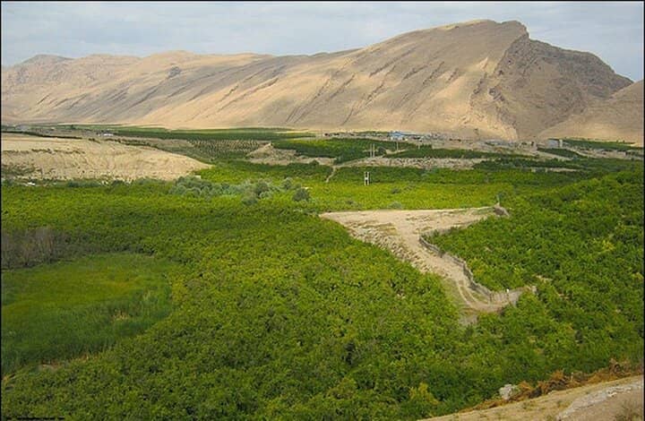 بانک زمین