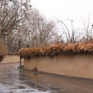 حفظ باغات قصردشت با همکاری باغداران