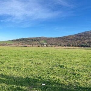 ۱۰ هزار قطعه زمین در خوزستان وارد فاز اجرایی شد
