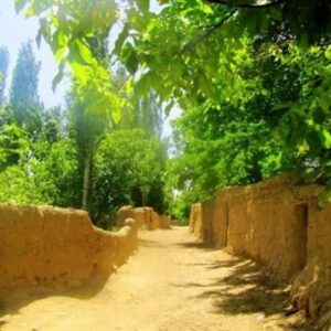 سرپرست اداره حوزه استحفاظی باغات قصردشت شهرداری شیراز منصوب شد