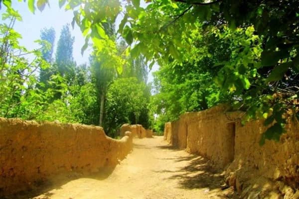 باغات قصردشت