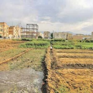 تامین یک میلیون زمین روستایی نهضت ملی مسکن