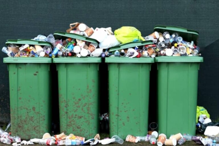 اقدامات پیگیرانه برای مقابله با پشه آئدس