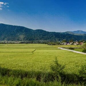 چالش تامین زمین در شمال کشور