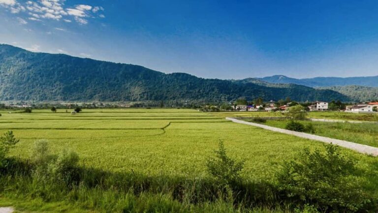 چالش تامین زمین در شمال کشور