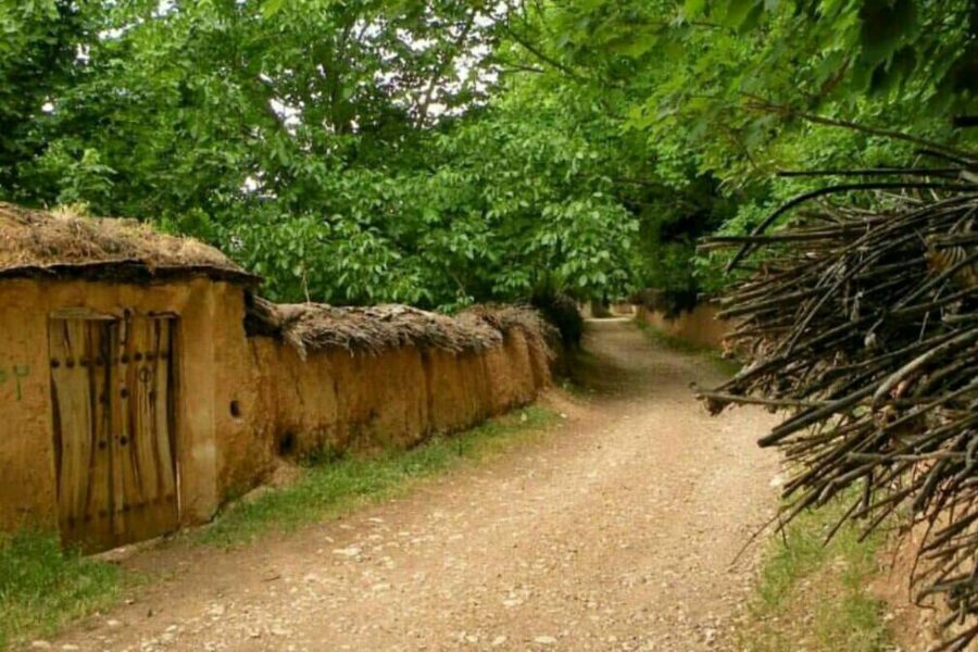 باغات شیراز