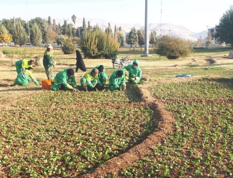 حفظ و افزایش سرانه فضای سبز منطقه ۱۱