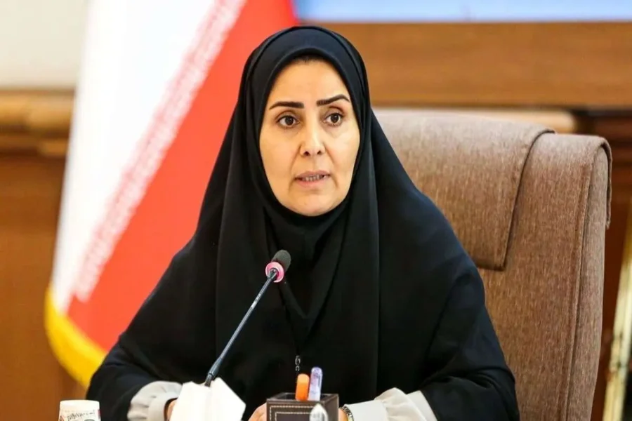 مسکن ملی