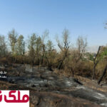 باغ‌های چمران
