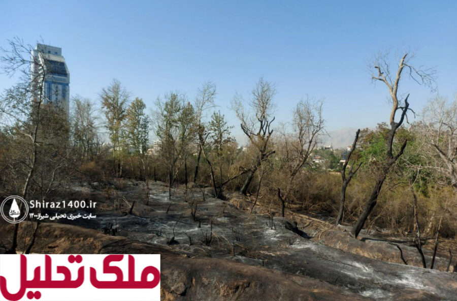 باغ‌های چمران